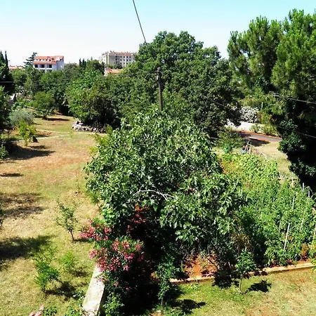 Glavan 63 Pensionat 3*